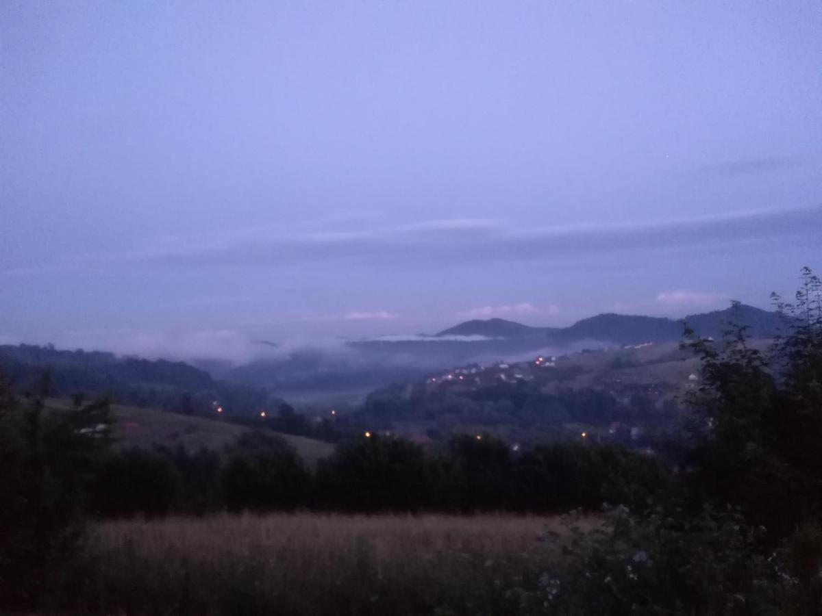 Domki I Apartamenty Nad Jeziorem Solinskim Z Basenem I Widokiem Na Gory Wolkowyja Εξωτερικό φωτογραφία